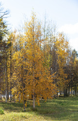 Similar image 21782795