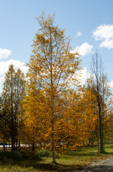 Similar image 21782796