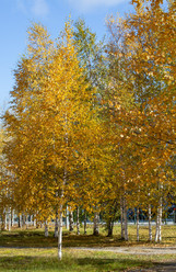 Similar image 21782797