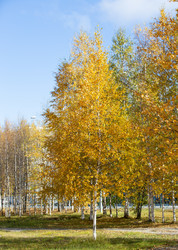 Similar image 21782798