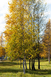 Similar image 21782800