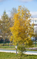 Similar image 21781314