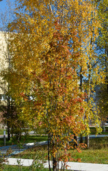 Similar image 21781321