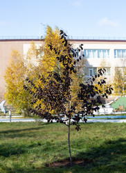 Similar image 21781322