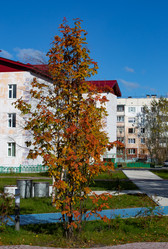 Similar image 21781326