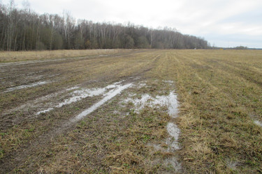 Similar image 21780683