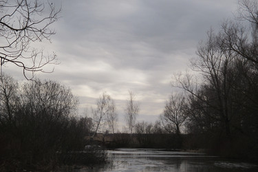 Similar image 21780686