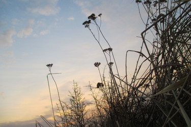 Similar image 21780687