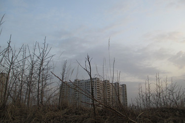 Similar image 21780688