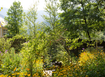 Similar image 21782607