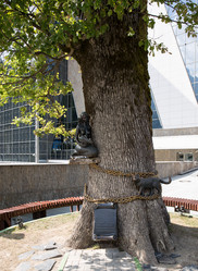 Similar image 21782625