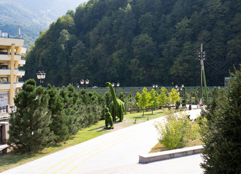 Similar image 21782626