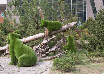 Similar image 21782811