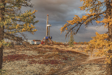 Similar image 21780819