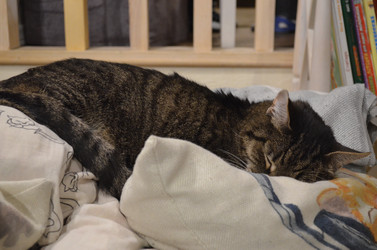 Similar image 21780694