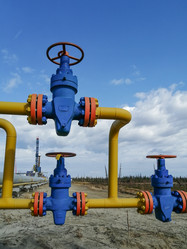 Similar image 21780781