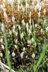 Similar image 21780782