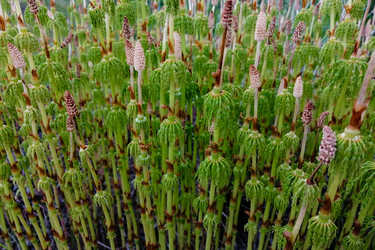 Similar image 21780783