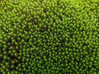 Similar image 21780823