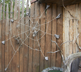 Similar image 21781513