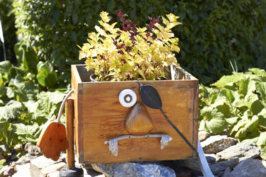 Similar image 21781516