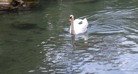 Similar image 21781528