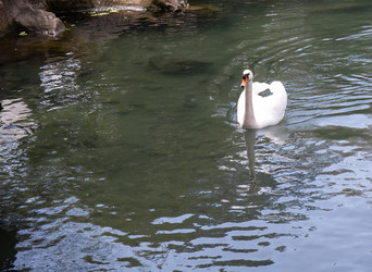 Similar image 21781529