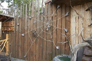 Similar image 21781530