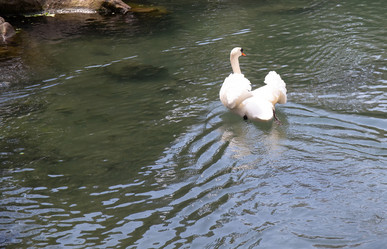 Similar image 21781531