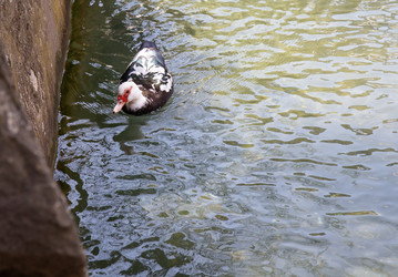 Similar image 21782421