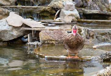 Similar image 21782423