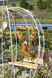 Similar image 21782424