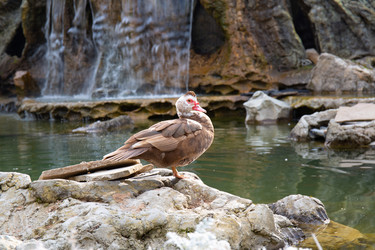 Similar image 21782425