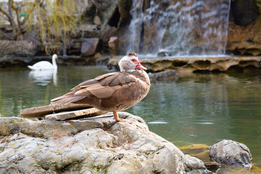 Similar image 21782427