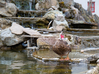 Similar image 21782429