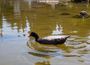 Similar image 21782433