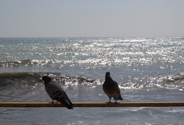 Similar image 21782436