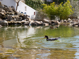 Similar image 21782628