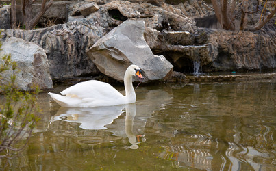 Similar image 21782632