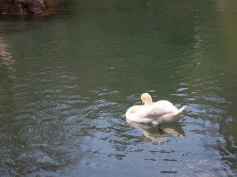 Similar image 21782633