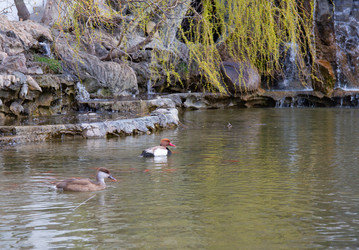 Similar image 21782640