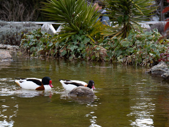 Similar image 21782642