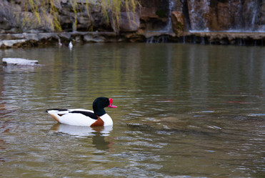 Similar image 21782643