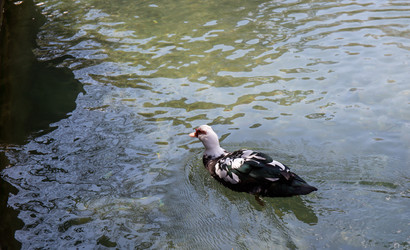 Similar image 21782650