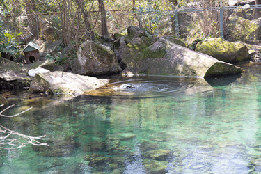 Similar image 21782651