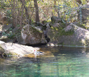 Similar image 21782652