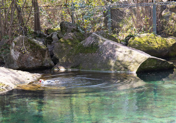 Similar image 21782654