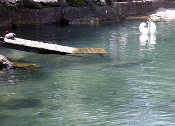 Similar image 21782655