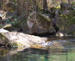 Similar image 21782657