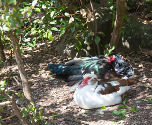 Similar image 21782817